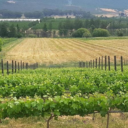 Lemberg Wine Estate Villa Tulbagh Dış mekan fotoğraf