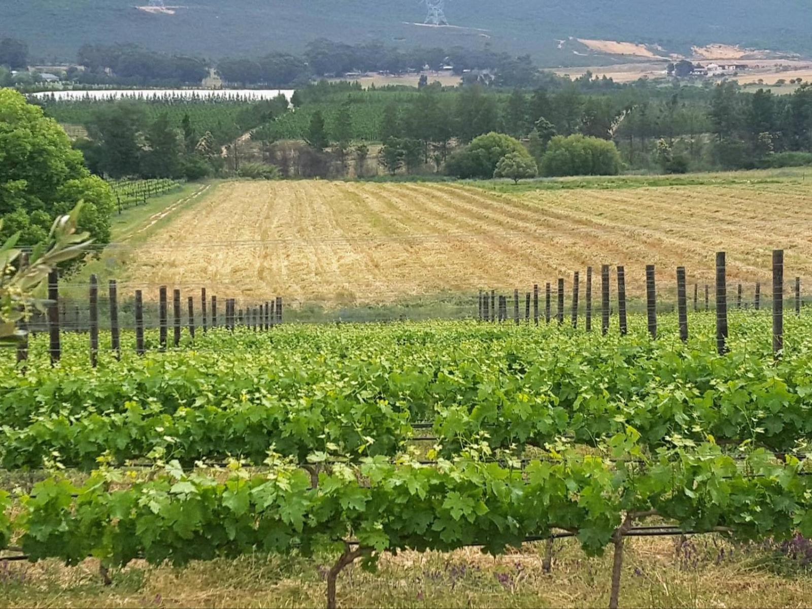 Lemberg Wine Estate Villa Tulbagh Dış mekan fotoğraf